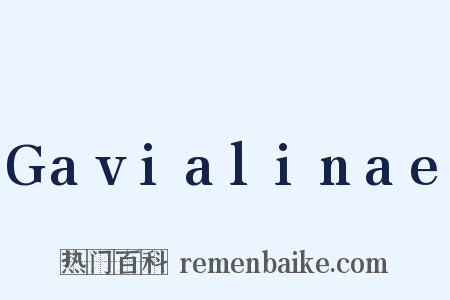 Gavialinae是什么意思的图片